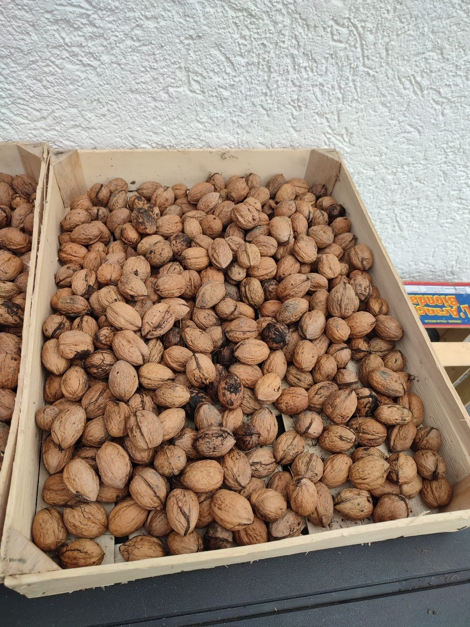 Walnüsse zu verkaufen